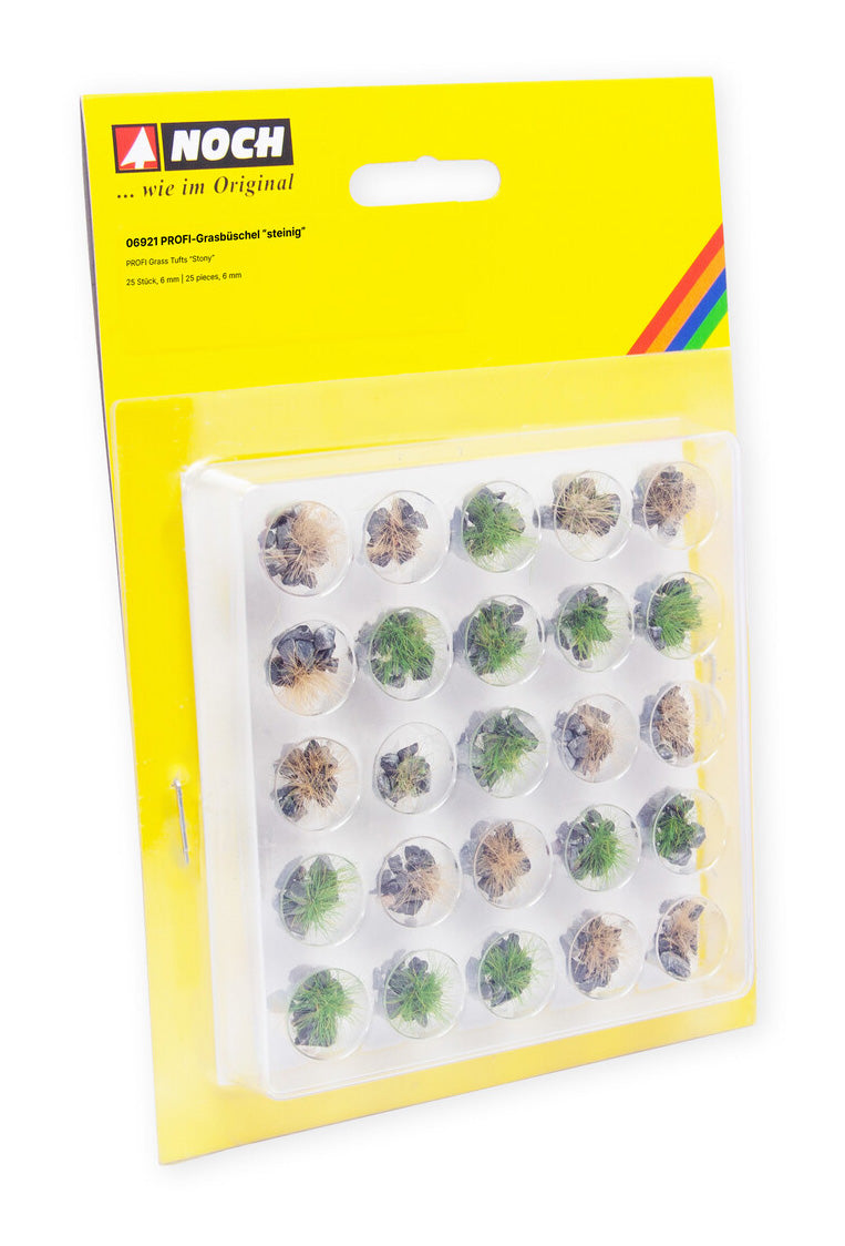 Arbustos de pasto estático sobre piedras oscuras Noch. 06921