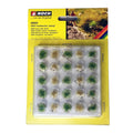 Arbustos de pasto estático sobre piedras claras Noch. 06920.