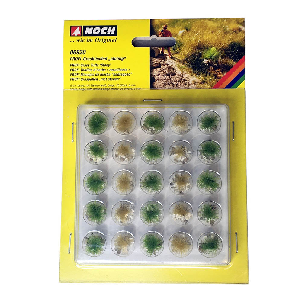 Arbustos de pasto estático sobre piedras claras Noch. 06920.